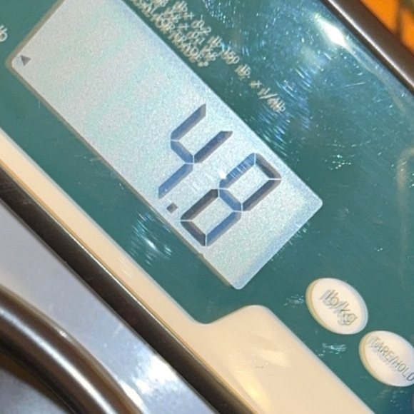 Rae Dunn Ceramic ‘Toss’ Office/Home Trash Can/Waste Can/Basket in Black/Orange - Picture 11 of 11